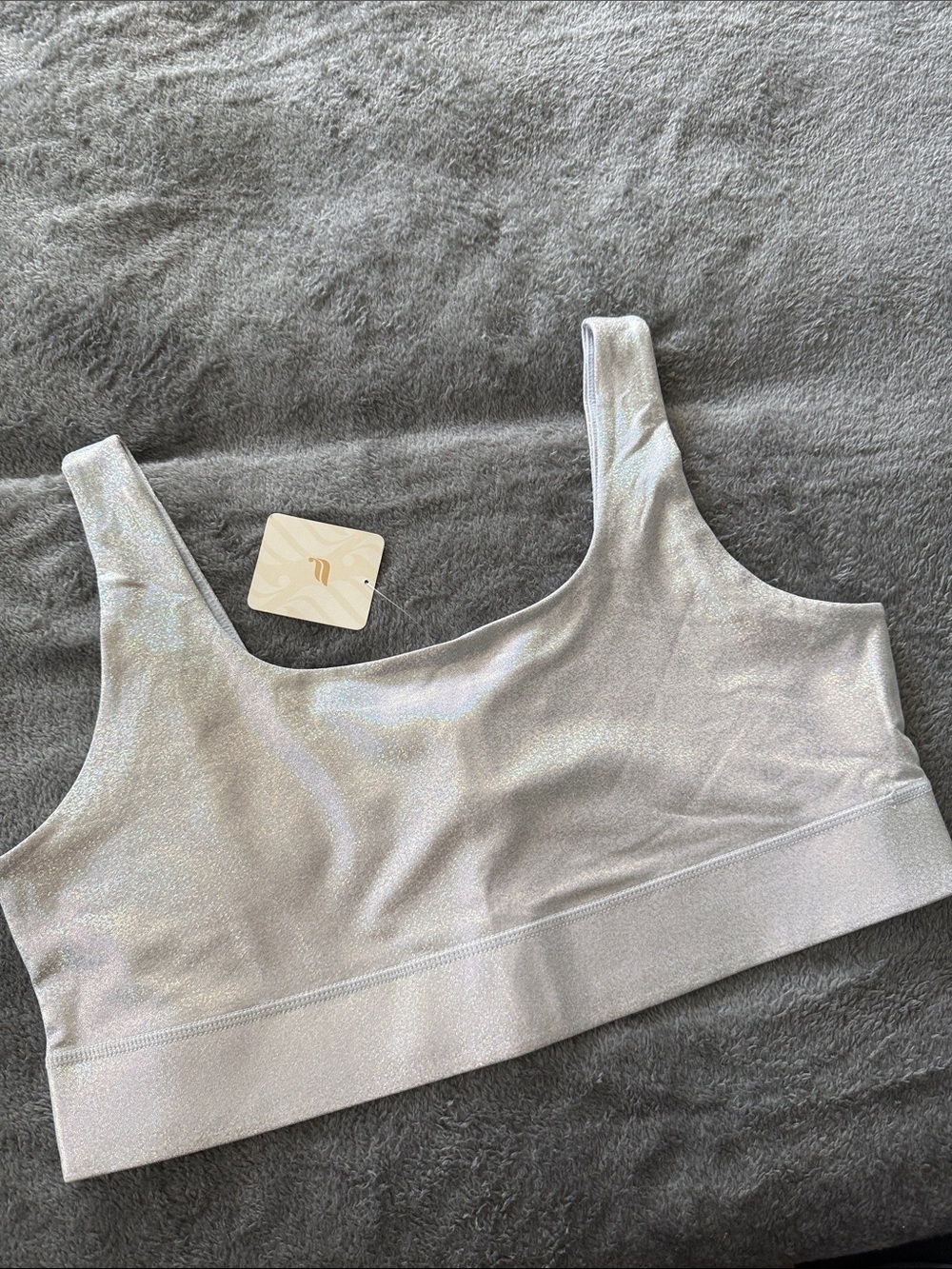 Fabletics Silver Shimmer Scoop Sports Bra